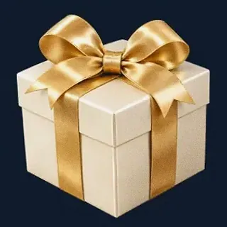 Wrapped gift box — CuntSpin