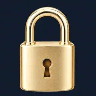 Metal padlock — CuntSpin