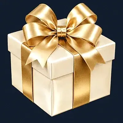 Ribboned gift box — CuntSpin