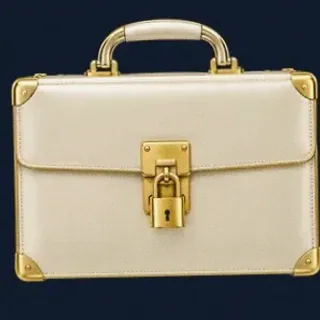 Locked leather briefcase — CuntSpin