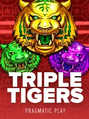 Triple Tigers at CuntSpin